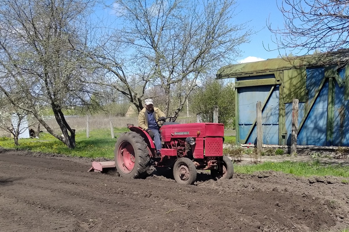 Полтавская область, № 26951 ВІ —  Прочие модели