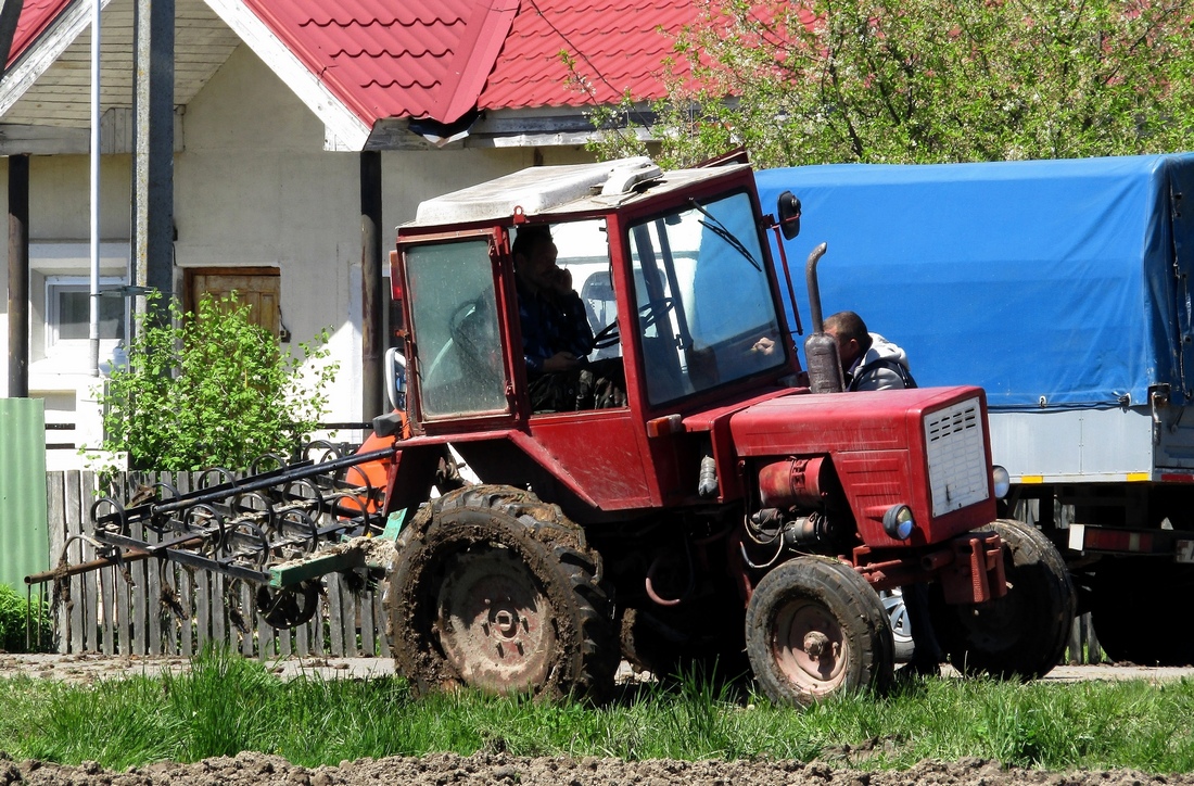 Могилёвская область, № IТ 1537 — Т-25/Т-30