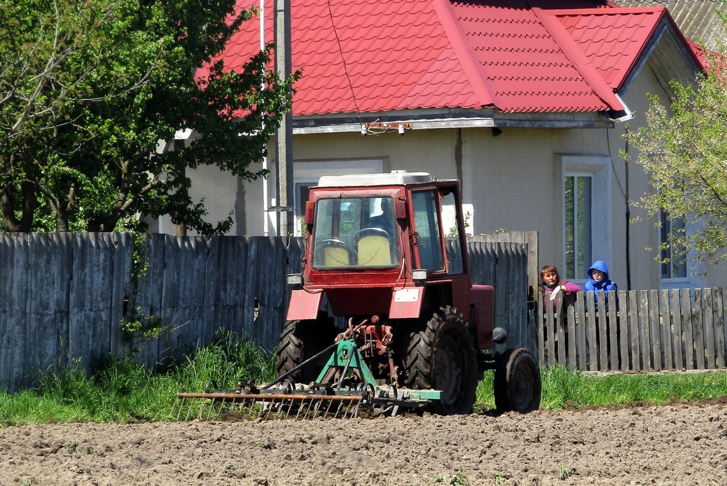 Могилёвская область, № IТ 1537 — Т-25/Т-30