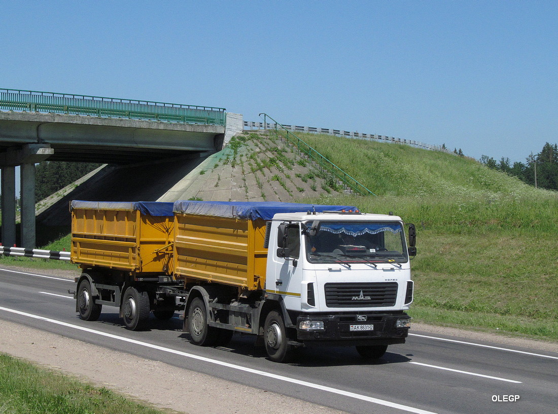 Витебская область, № АК 8631-2 — МАЗ-555026-4585-000