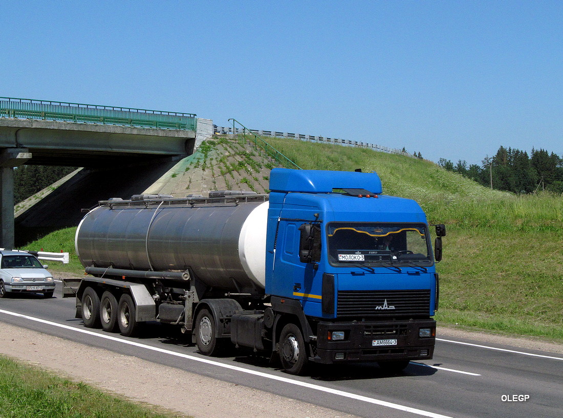 Гомельская область, № АМ 6664-3 — МАЗ-5440 (общая модель)