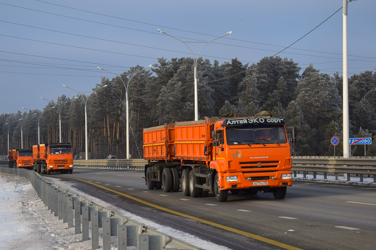 Алтайский край, № А 677 ЕО 122 — КамАЗ-65115-50