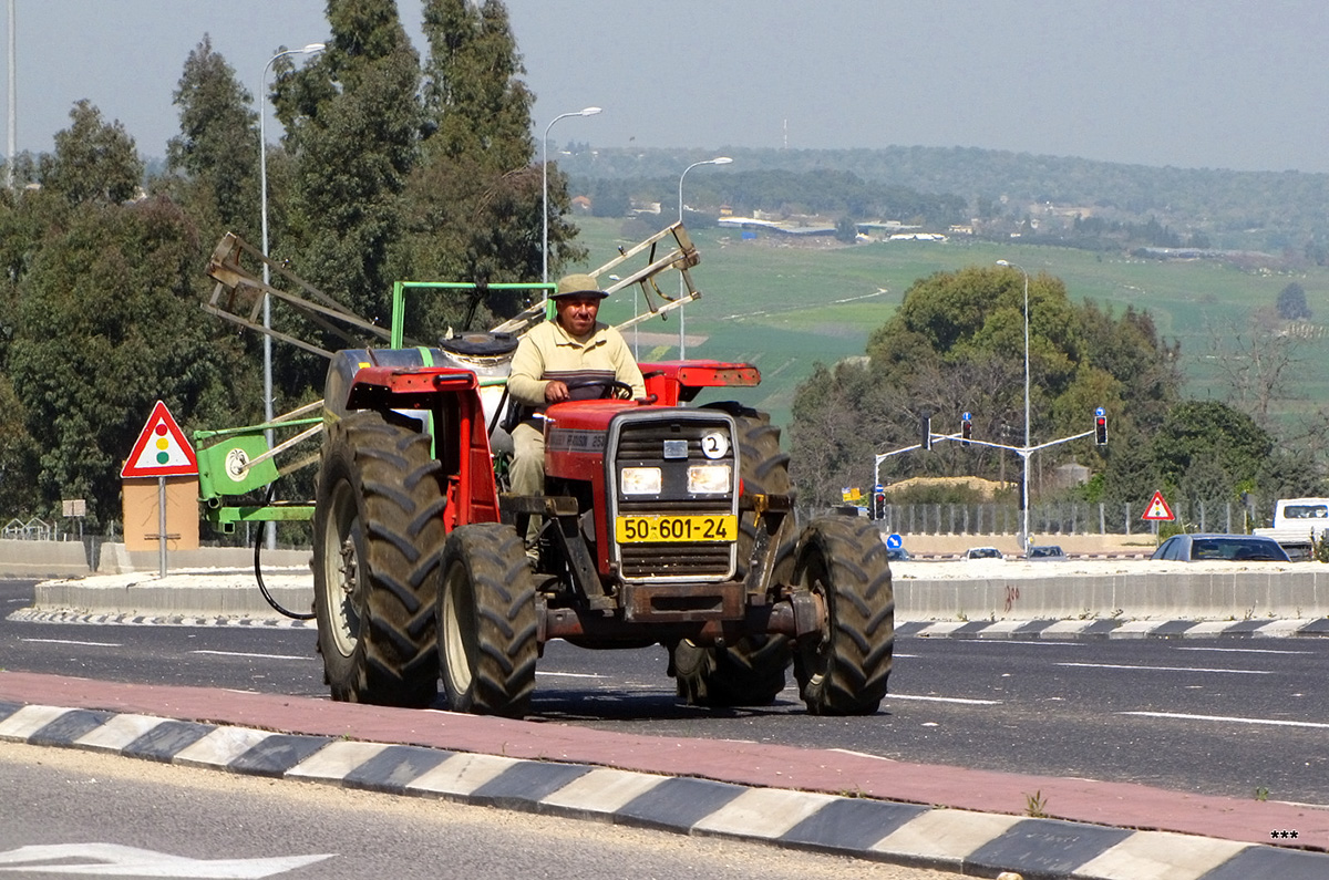 Израиль, № 50-601-24 — Massey Ferguson (общая модель)