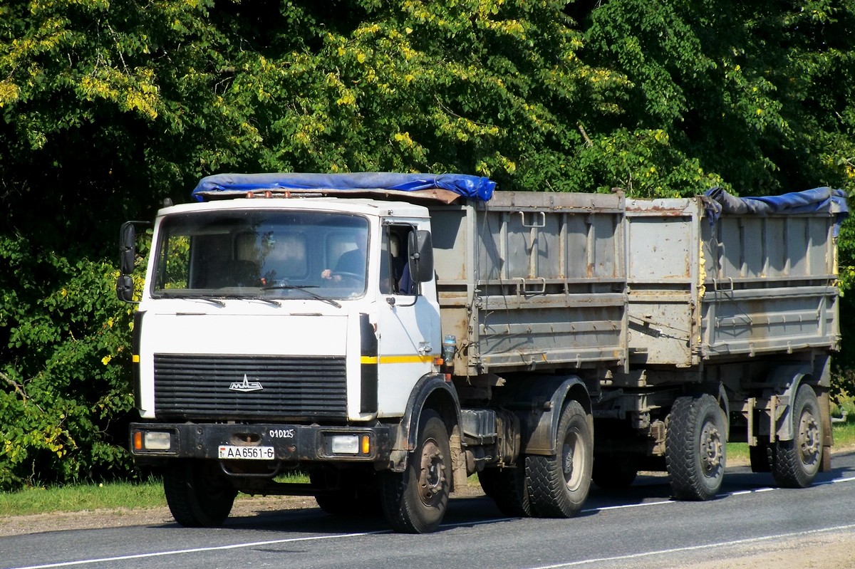 Могилёвская область, № АА 6561-6 — МАЗ-5551 (общая модель)