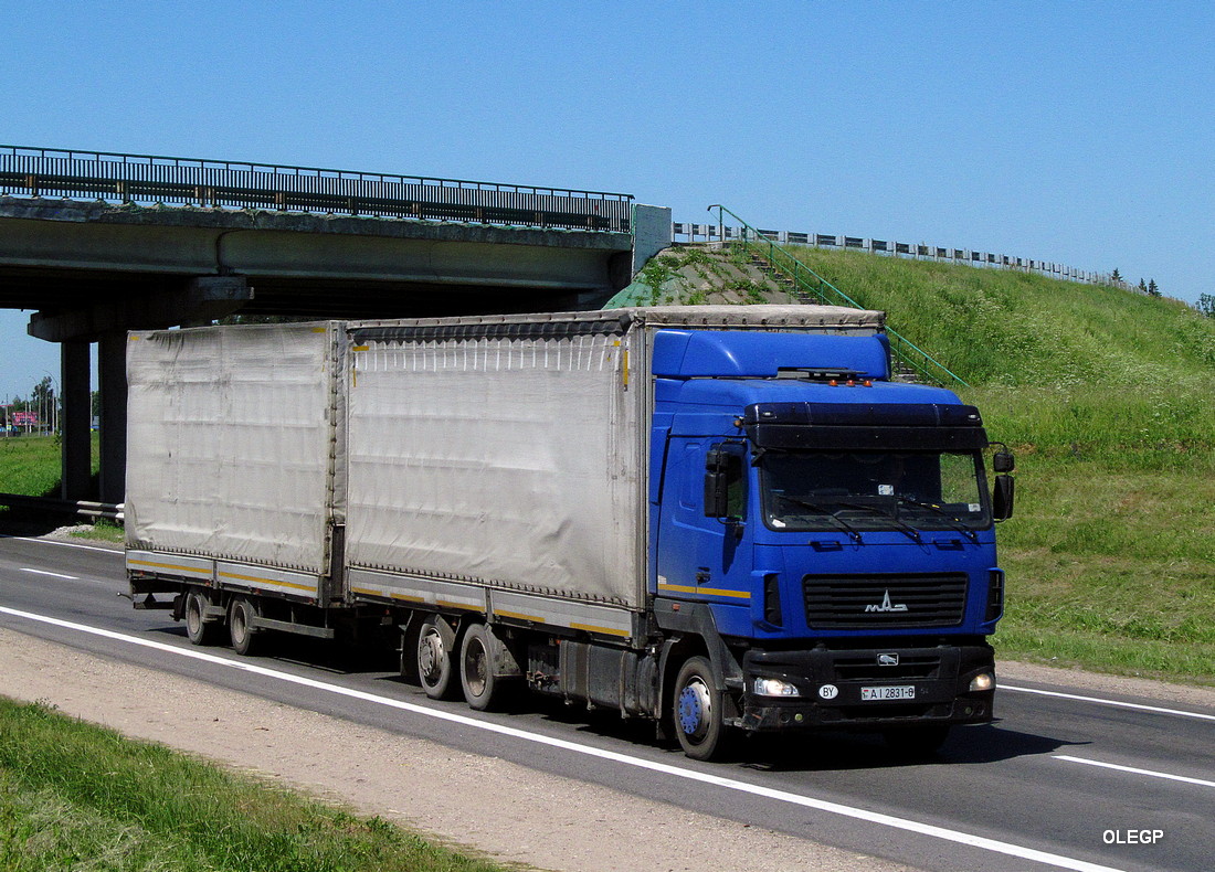 Могилёвская область, № АІ 2831-6 — МАЗ-6310