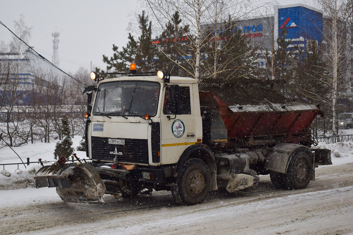 Алтайский край, № У 391 УС 22 — МАЗ-5337A2