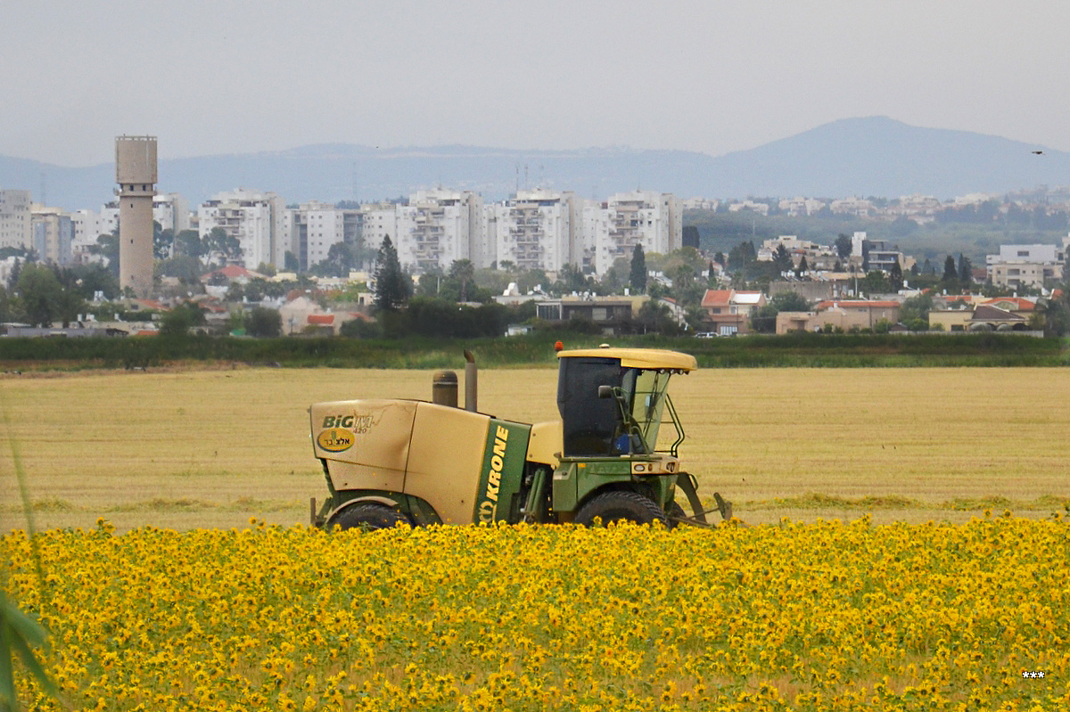 Израиль, № (IL) U/N ST 0005 — Krone (общая модель)