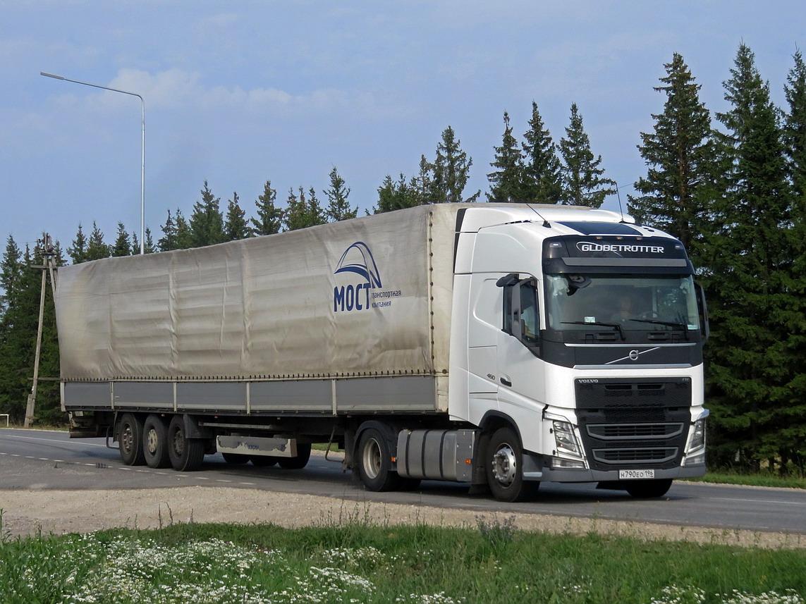 Свердловская область, № Н 790 ЕО 196 — Volvo ('2012) FH.460