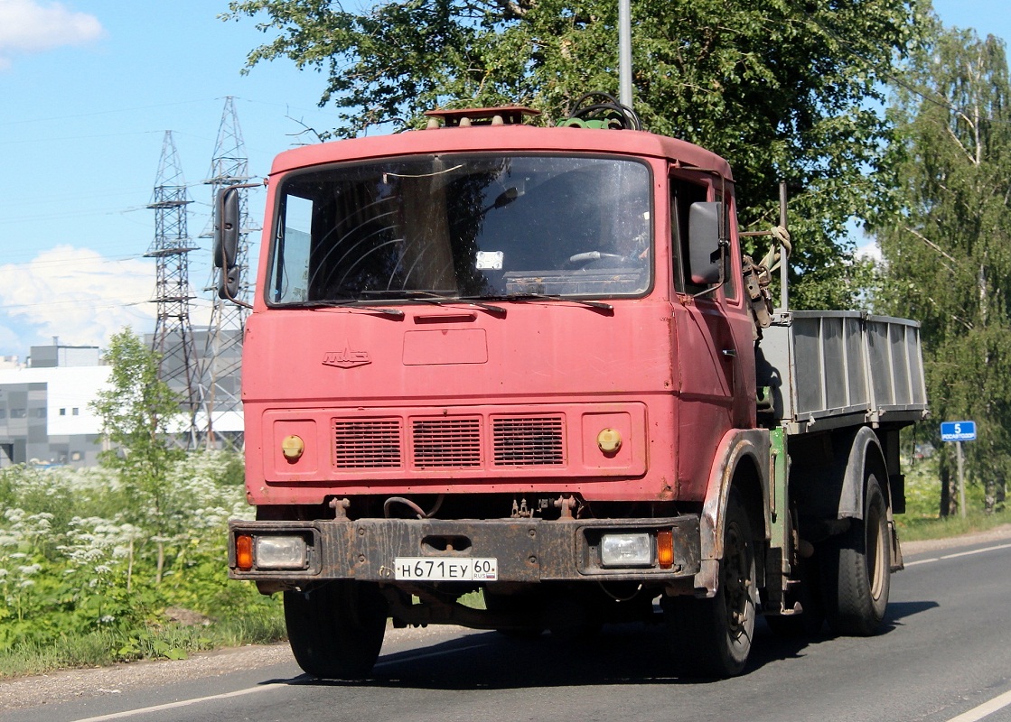 Псковская область, № Н 671 ЕУ 60 — МАЗ-53371