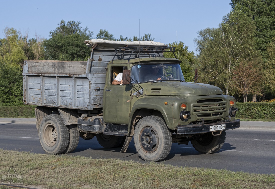 Восточно-Казахстанская область, № F 801 DBM — ЗИЛ-495810