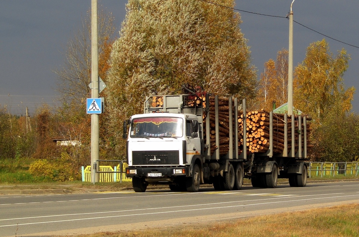 Могилёвская область, № АІ 5303-6 — МАЗ-6303 (общая модель)