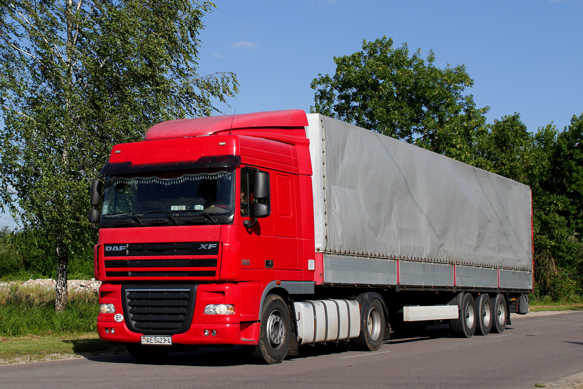 Гродненская область, № АЕ 5423-4 — DAF XF105 FT