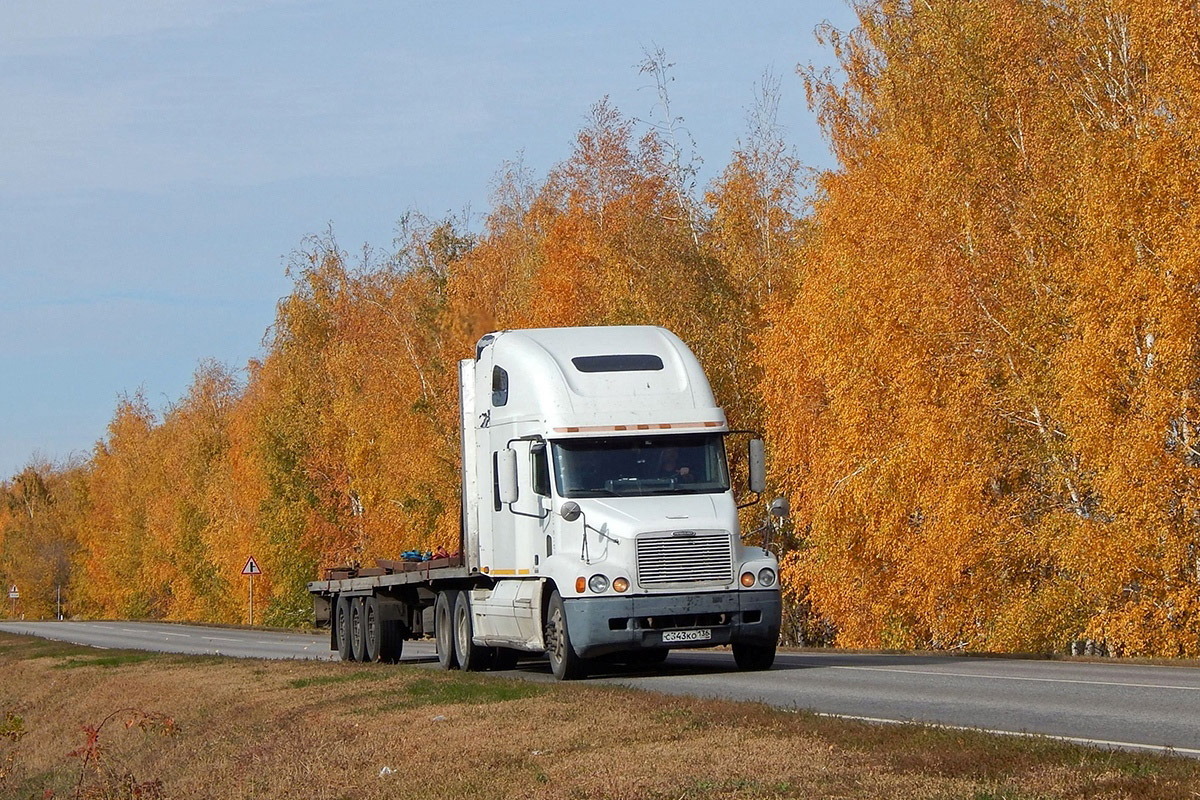 Воронежская область, № С 343 КО 136 — Freightliner Century Class