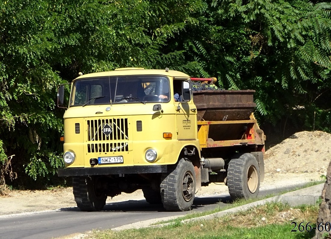 Венгрия, № NWZ-175 — IFA W50LA/K, LA/Z; Венгрия — Сбор винограда в Венгрии