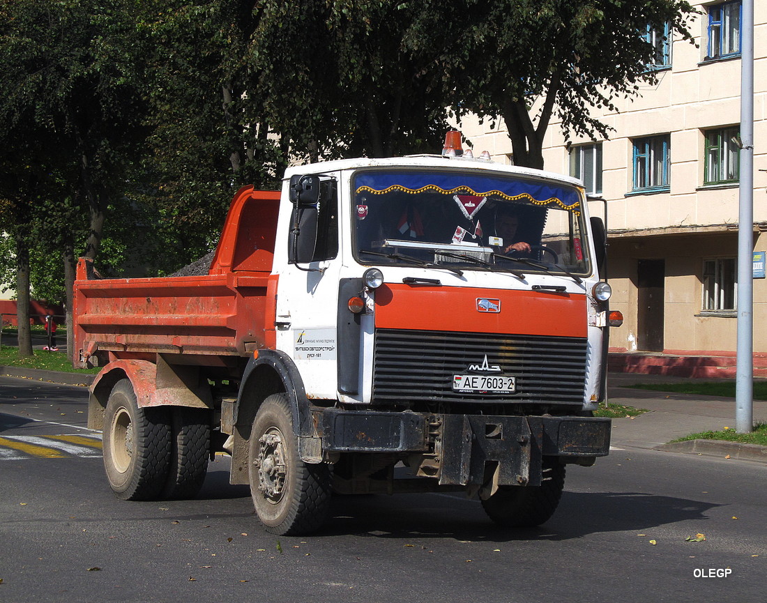 Витебская область, № АЕ 7603-2 — МАЗ-5551 (общая модель)