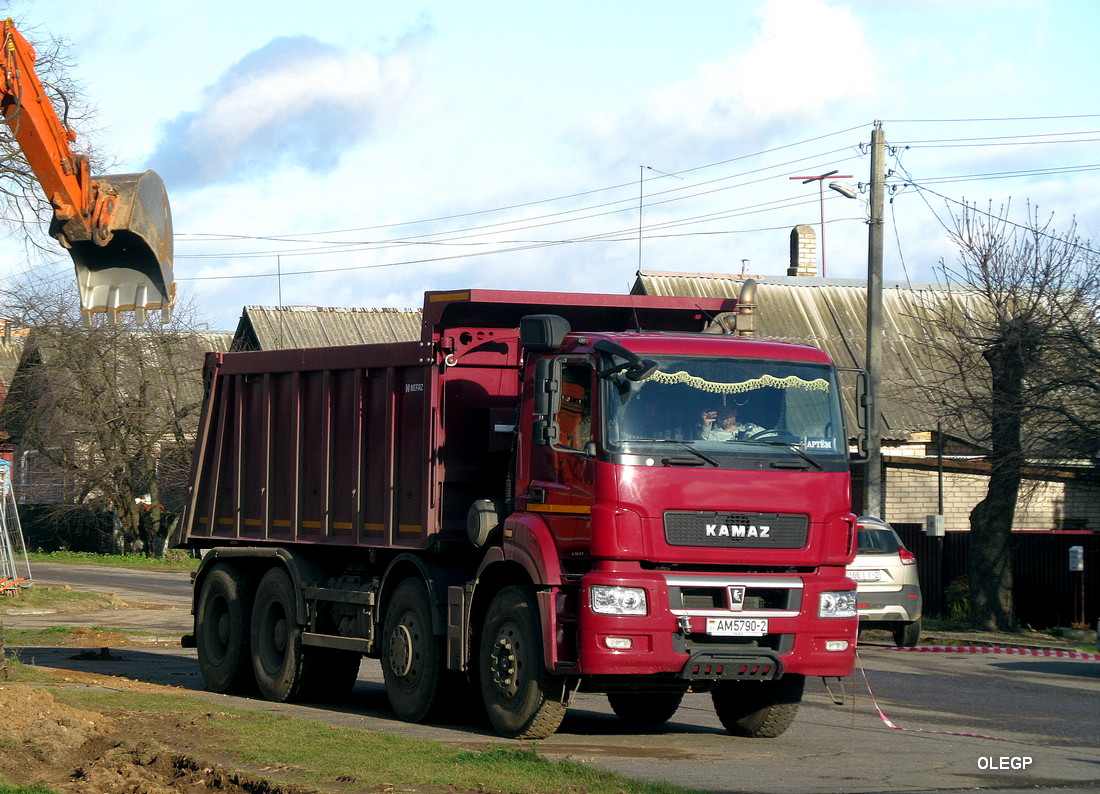 Витебская область, № АМ 5790-2 — КамАЗ-65801-T5