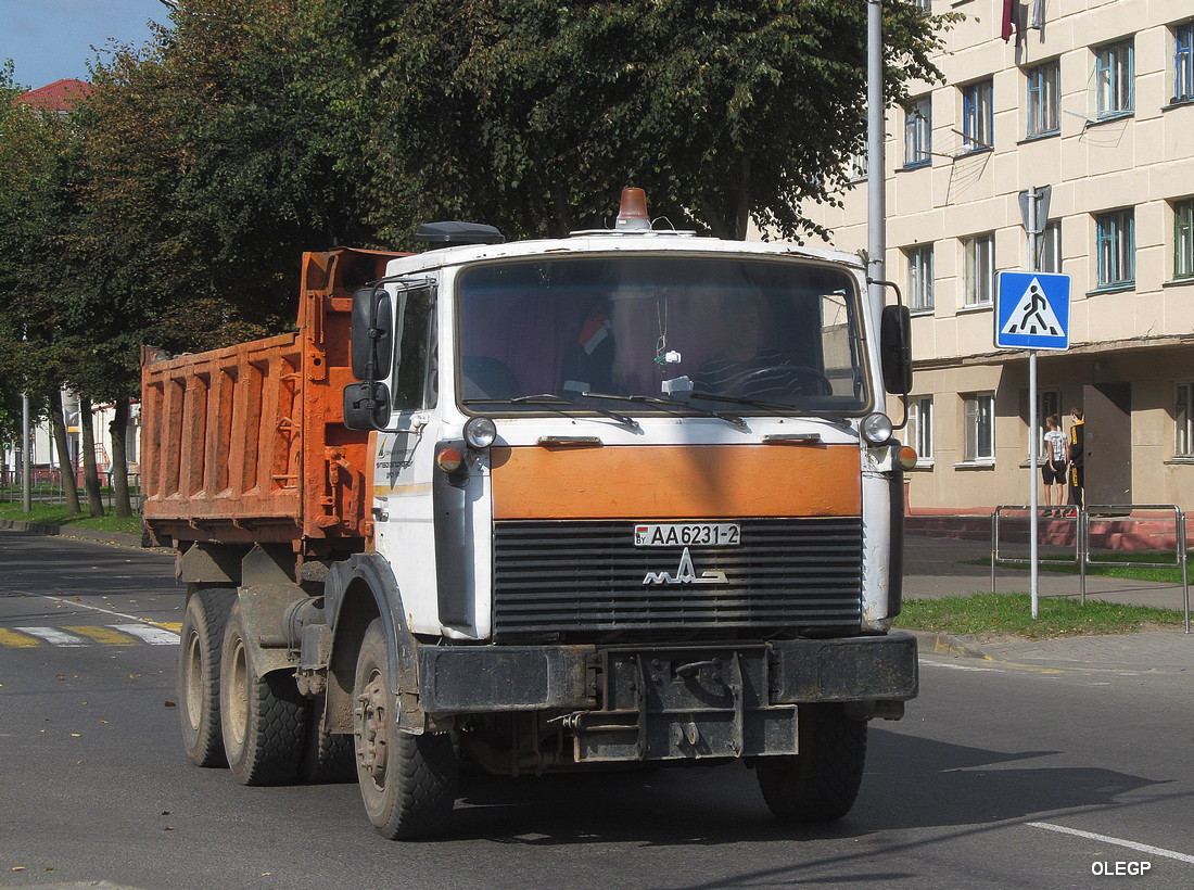 Витебская область, № АА 6231-2 — МАЗ-5516 (общая модель)