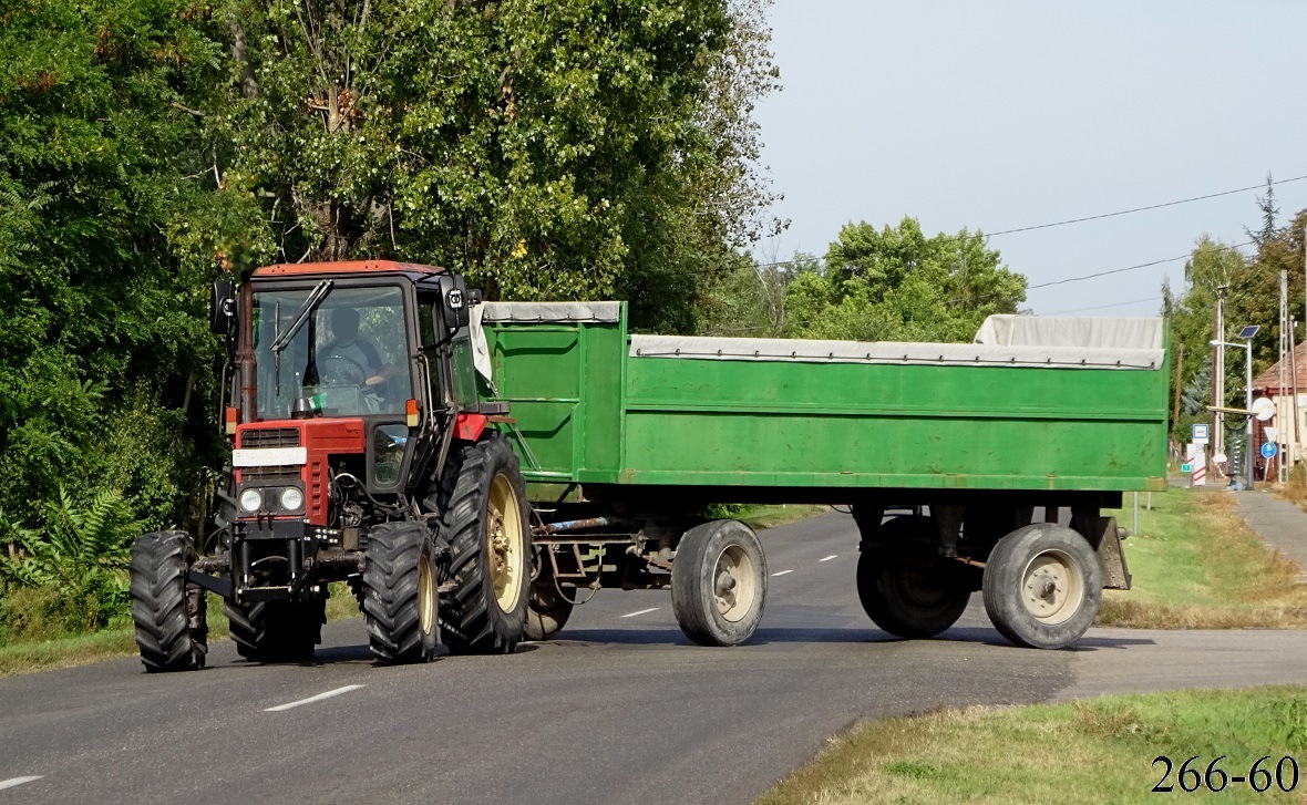 Венгрия, № YHB-648 — Беларус-82.1; Венгрия — Сбор винограда в Венгрии