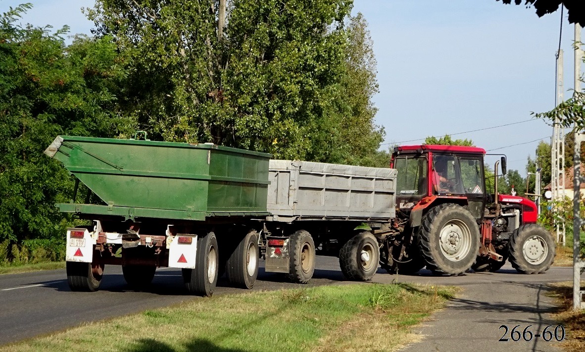 Венгрия, № YBU-217 —  Модель неизвестна; Венгрия — Сбор винограда в Венгрии