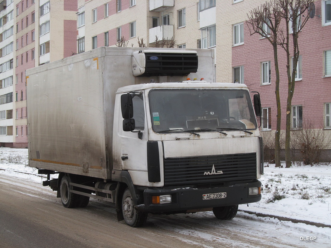 Витебская область, № АЕ 7308-2 — МАЗ-4371 (общая модель)