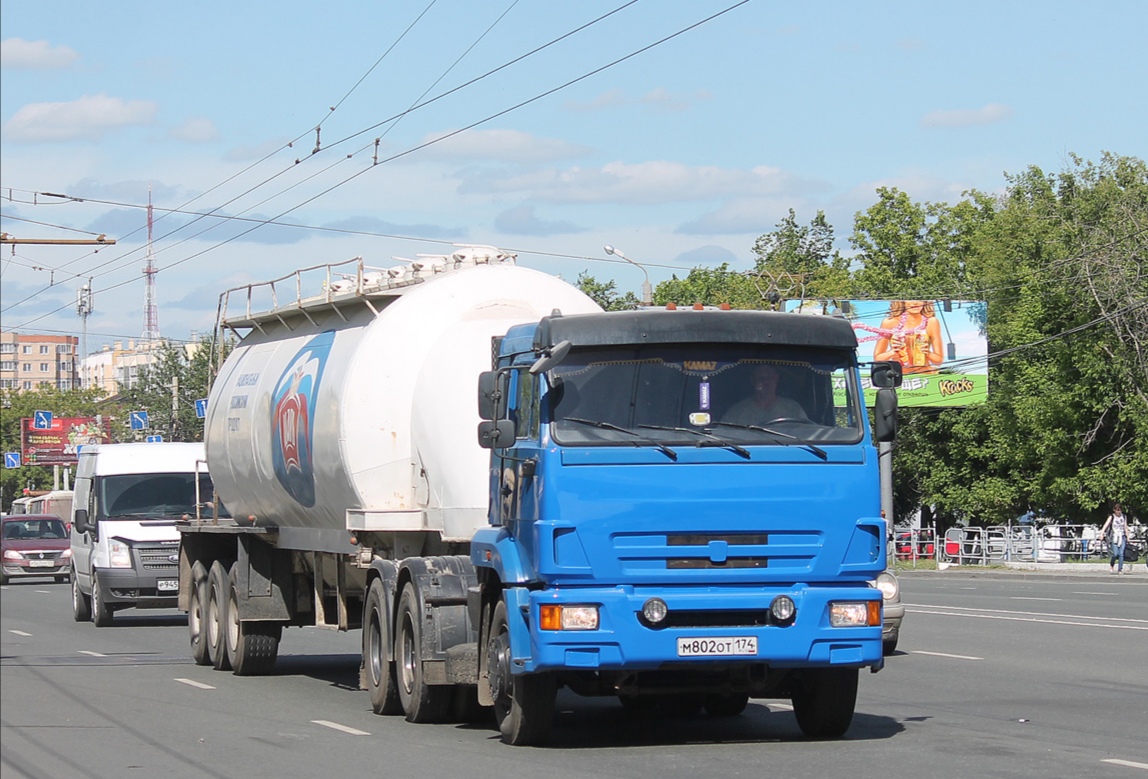 Челябинская область, № М 802 ОТ 174 — КамАЗ-65116-N3