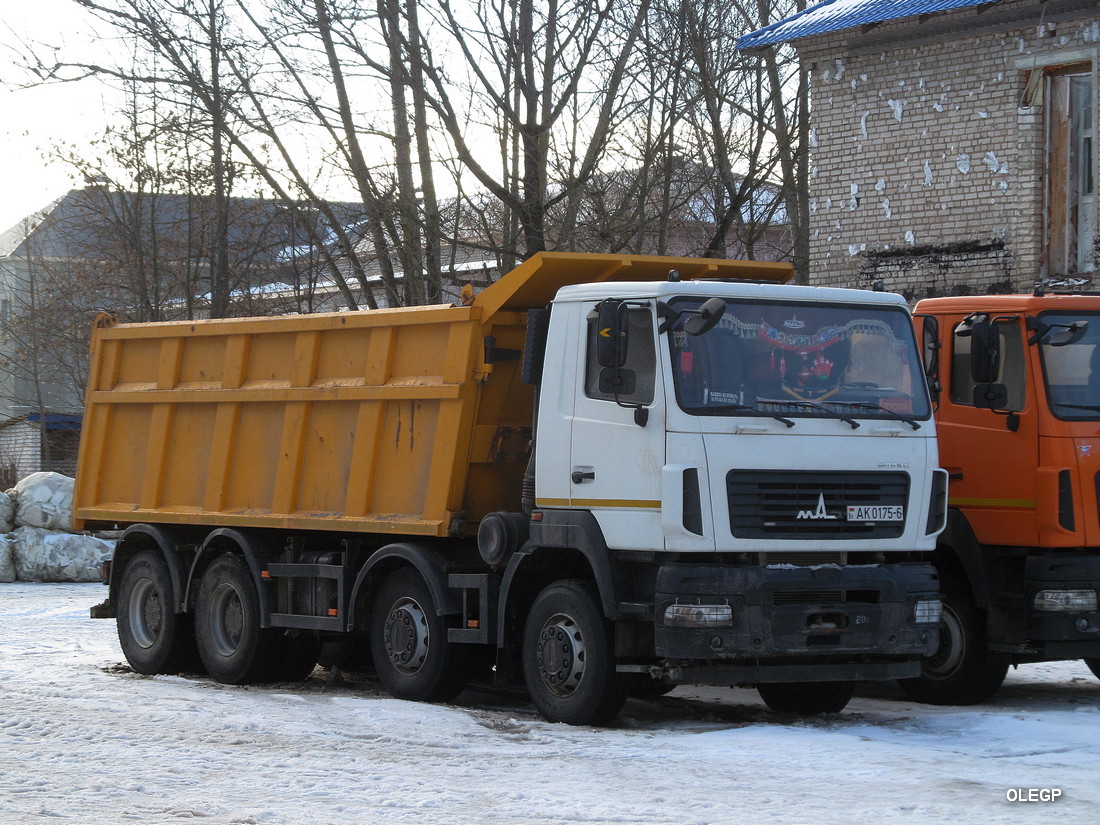 Могилёвская область, № АК 0175-6 — МАЗ-6516 (общая модель)