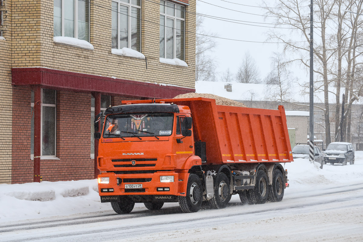 Архангельская область, № Е 100 УТ 29 — КамАЗ-65201-B5