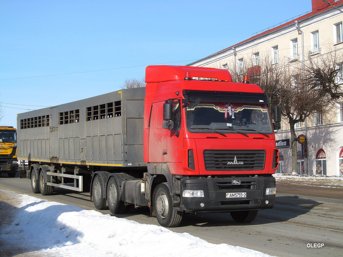 Витебская область, № АМ 5755-2 — МАЗ-6430 (общая модель)