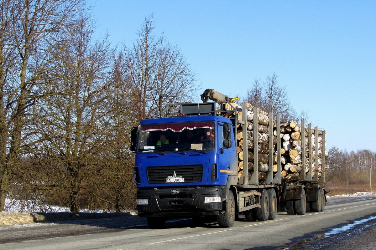 Могилёвская область, № АІ 6088-6 — МАЗ-631228