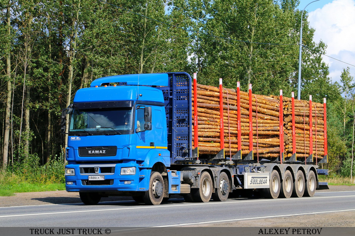 Санкт-Петербург, № К 666 СХ 198 — КамАЗ-65209-S5(87)