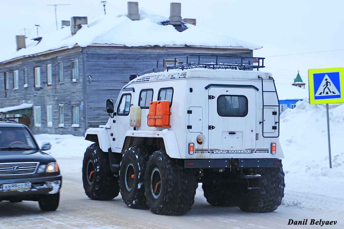 Ненецкий автономный округ, № (83) Б/Н СТ 0024 — ТРЭКОЛ-39294