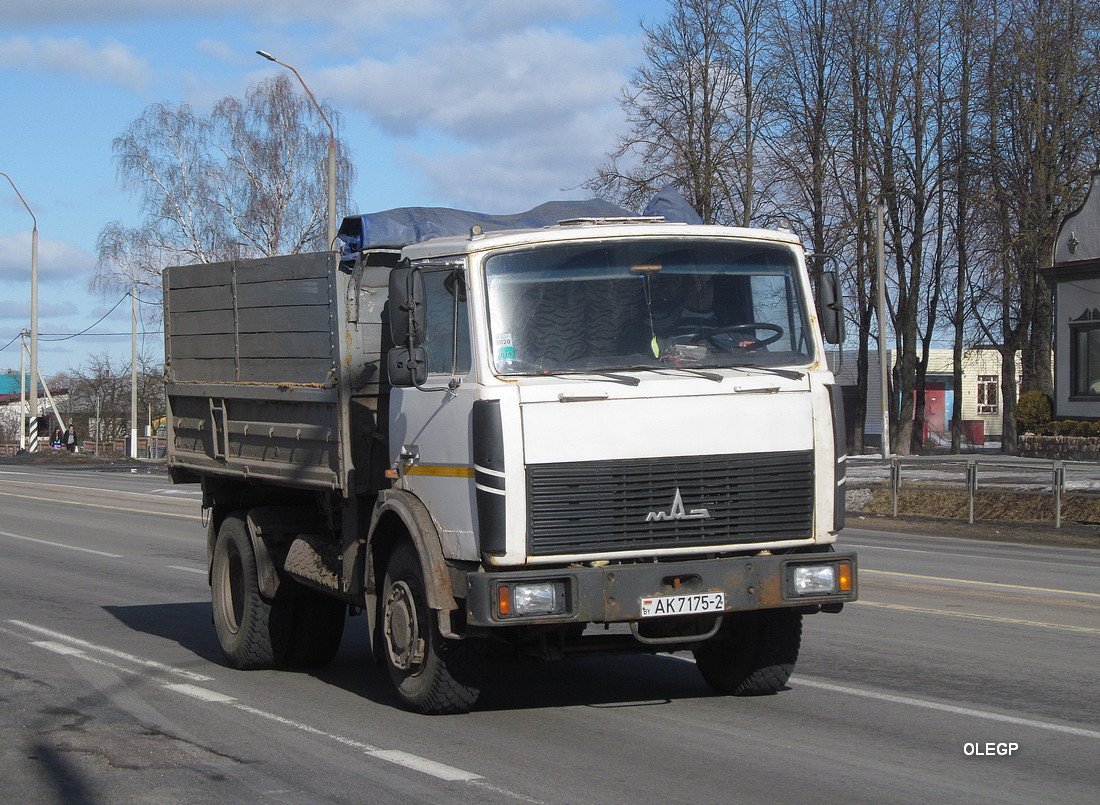 Витебская область, № АК 7175-2 — МАЗ-5551 (общая модель)