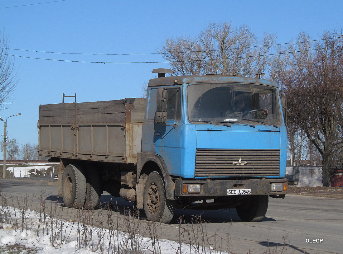 Могилёвская область, № 6ЕВ Т 9549 — МАЗ-5336 (общая модель)