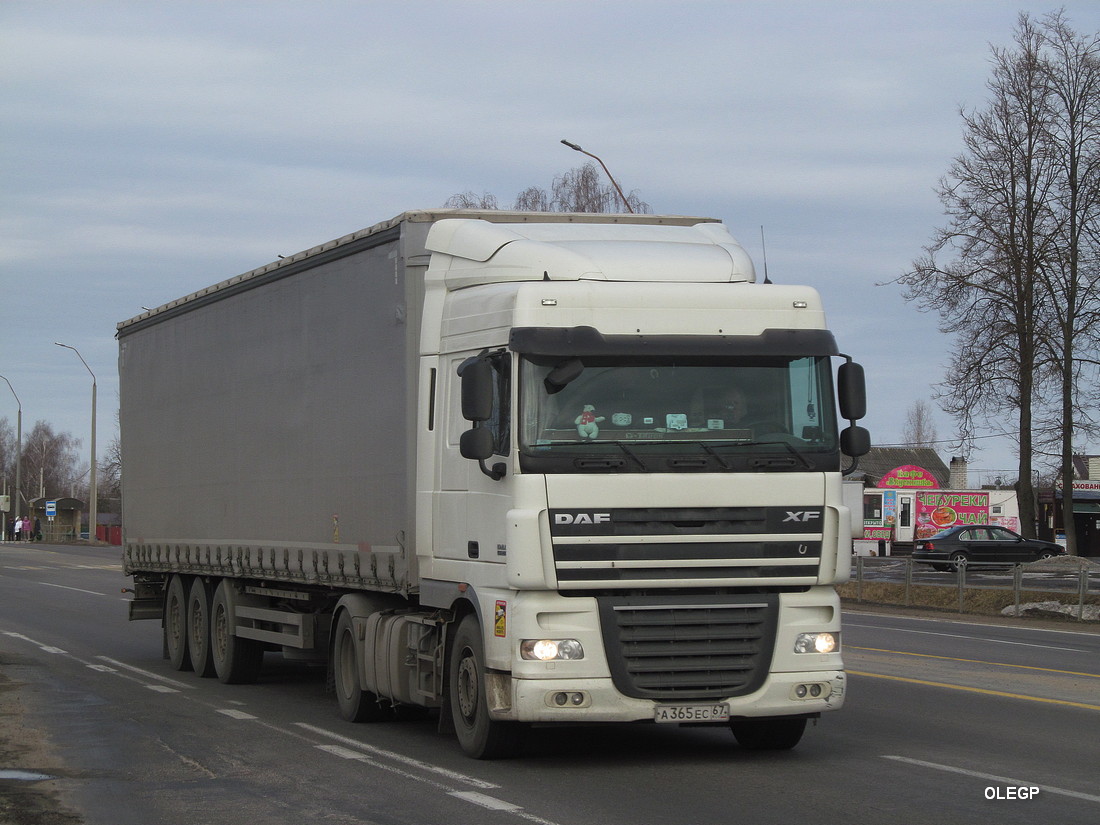 Смоленская область, № А 365 ЕС 67 — DAF XF105 FT