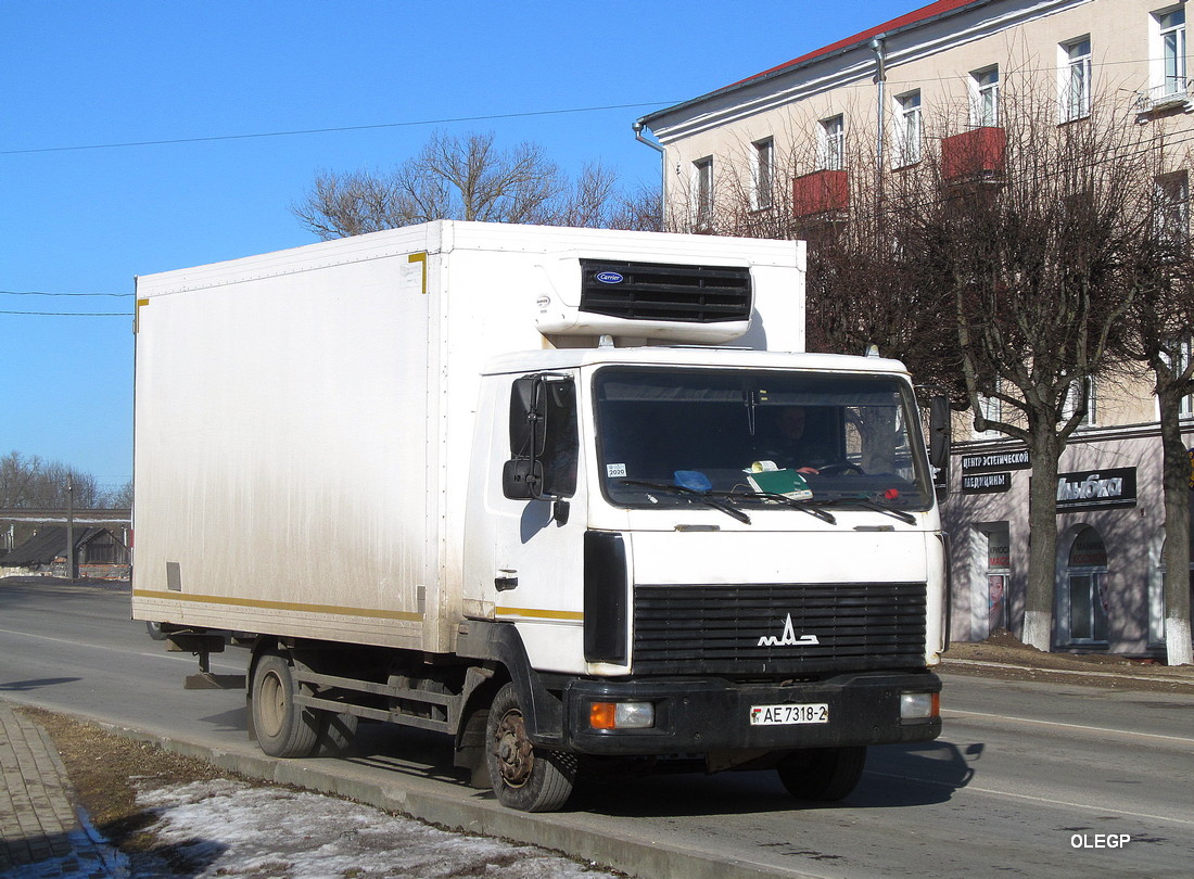 Витебская область, № АЕ 7318-2 — МАЗ-4371 (общая модель)