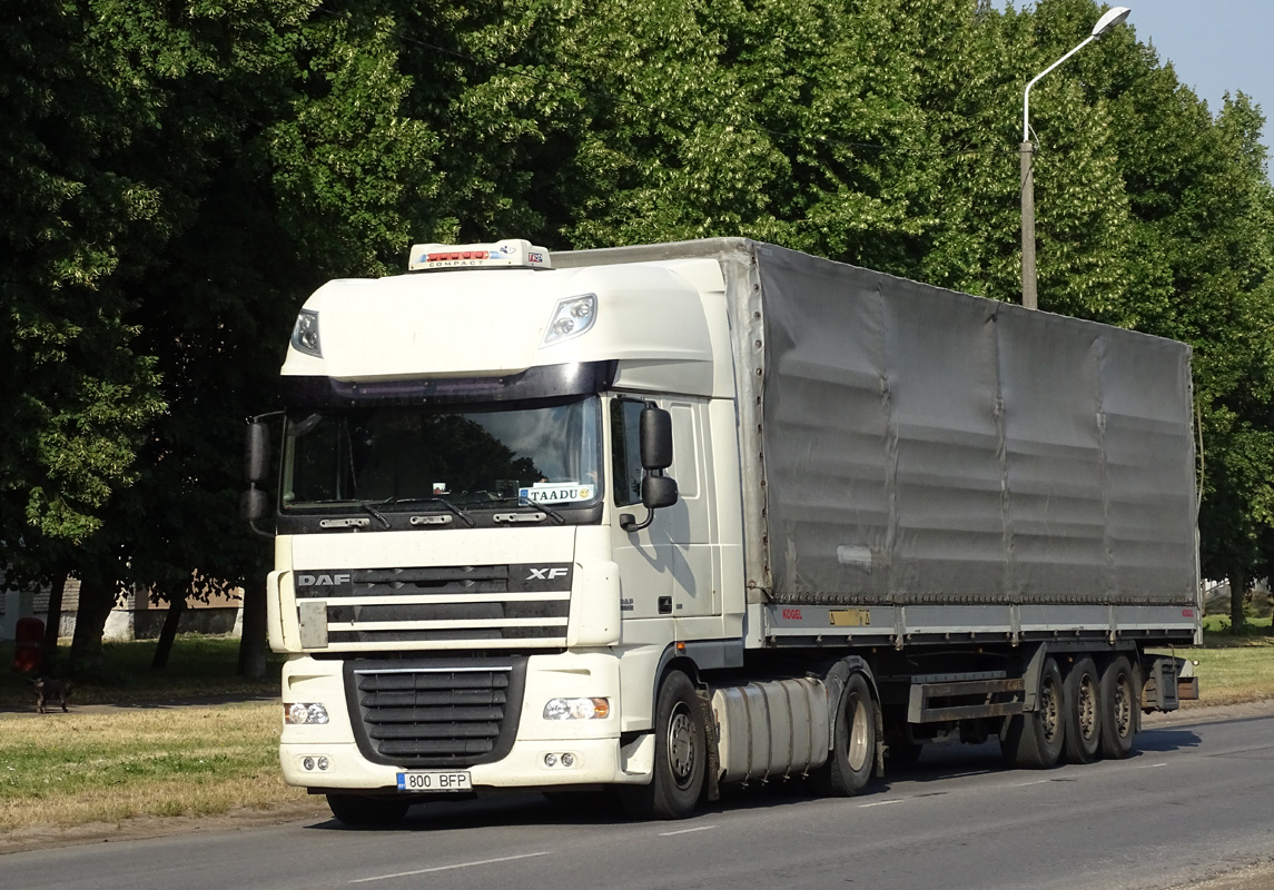 Эстония, № 800 BFP — DAF XF105 FT