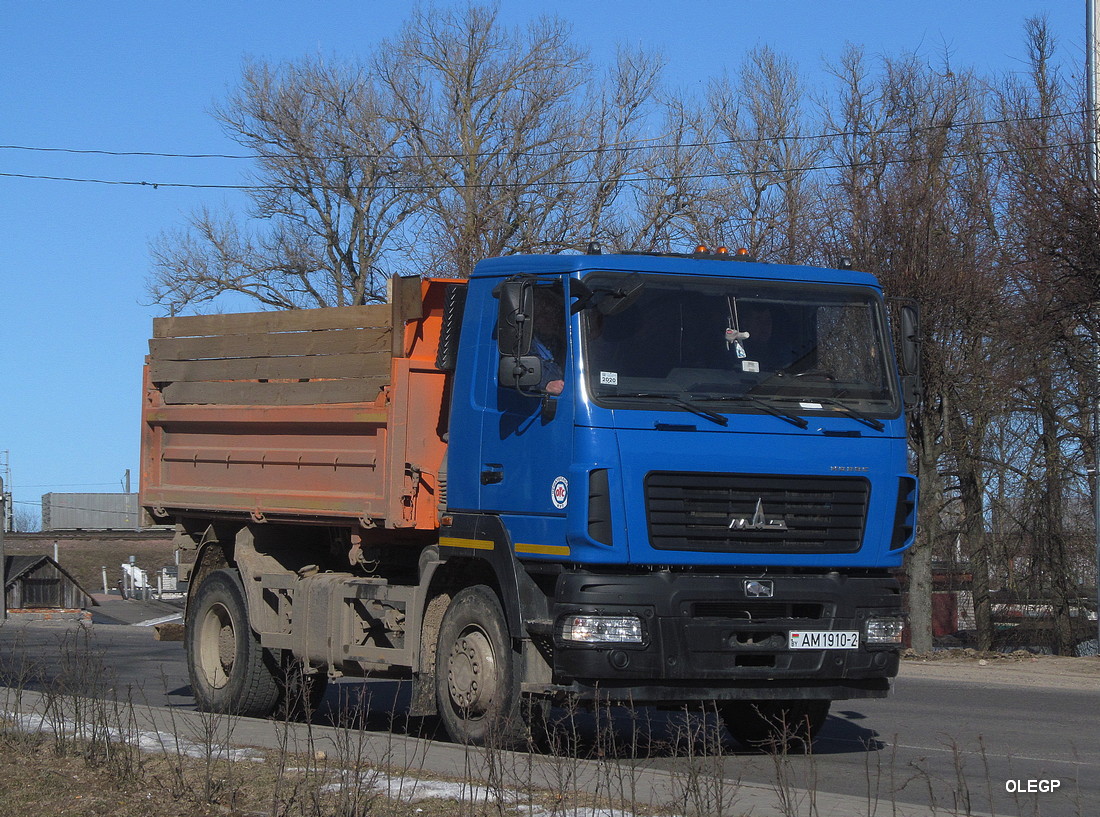 Витебская область, № АМ 1910-2 — МАЗ-5550C5