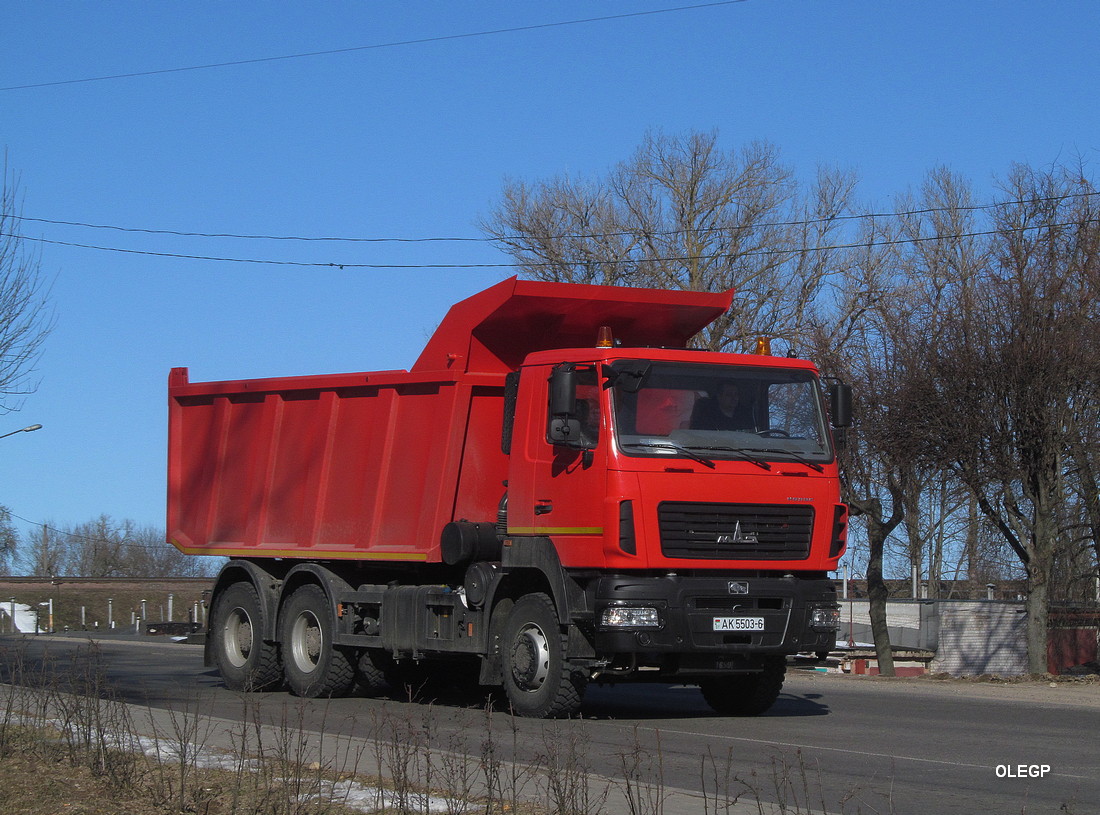 Могилёвская область, № АК 5503-6 — МАЗ-6501 (общая модель)