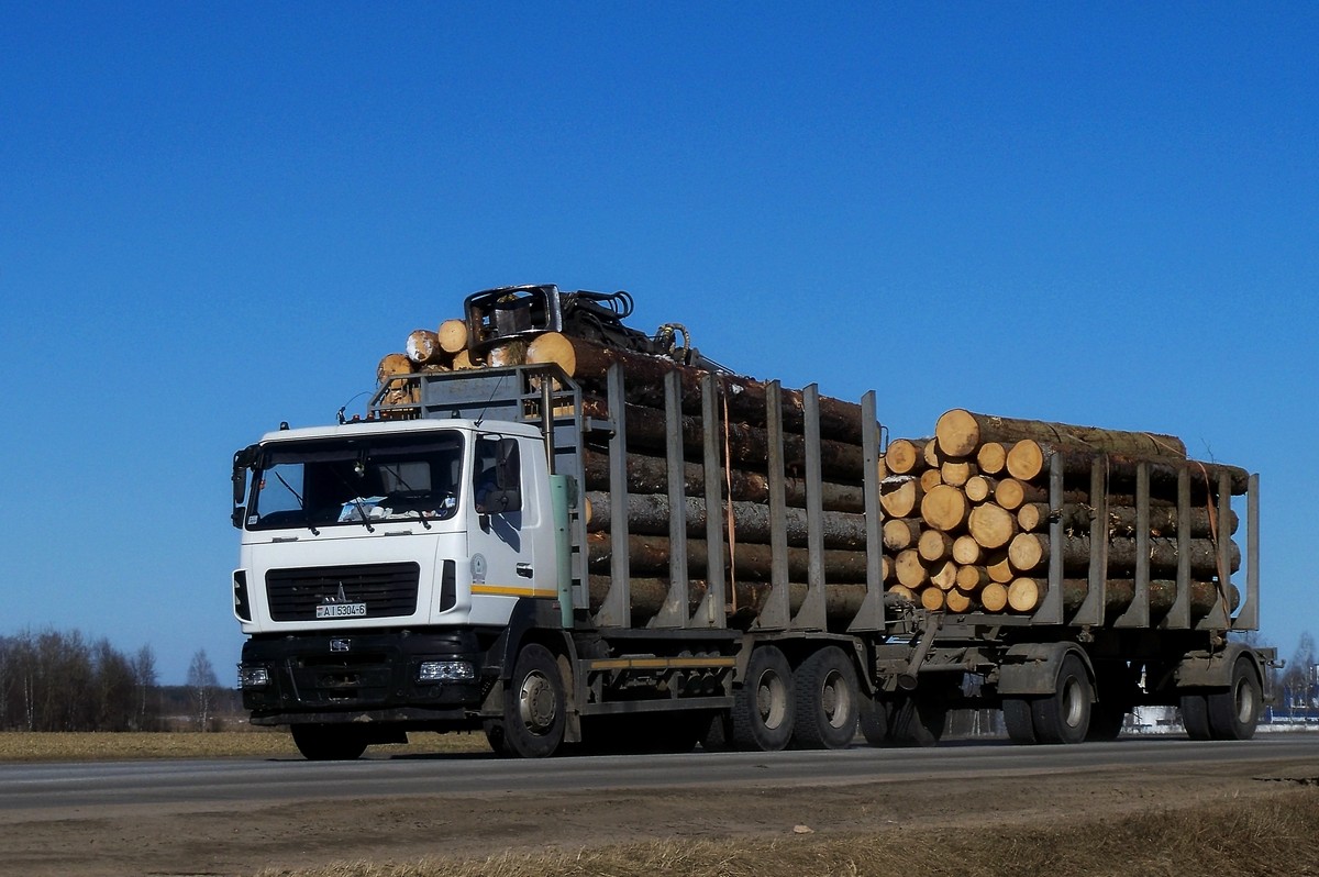 Могилёвская область, № АІ 5304-6 — МАЗ-6312B9