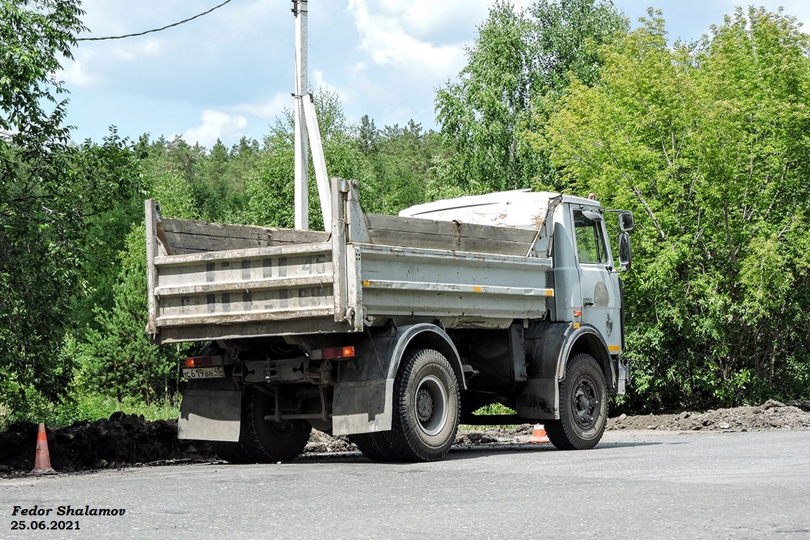 Курганская область, № С 619 ВН 45 — МАЗ-555102