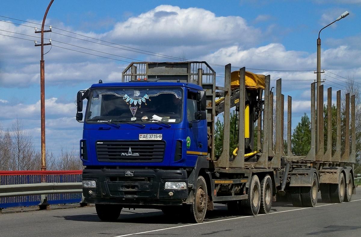 Могилёвская область, № АЕ 3715-6 — МАЗ-6312 (общая модель)