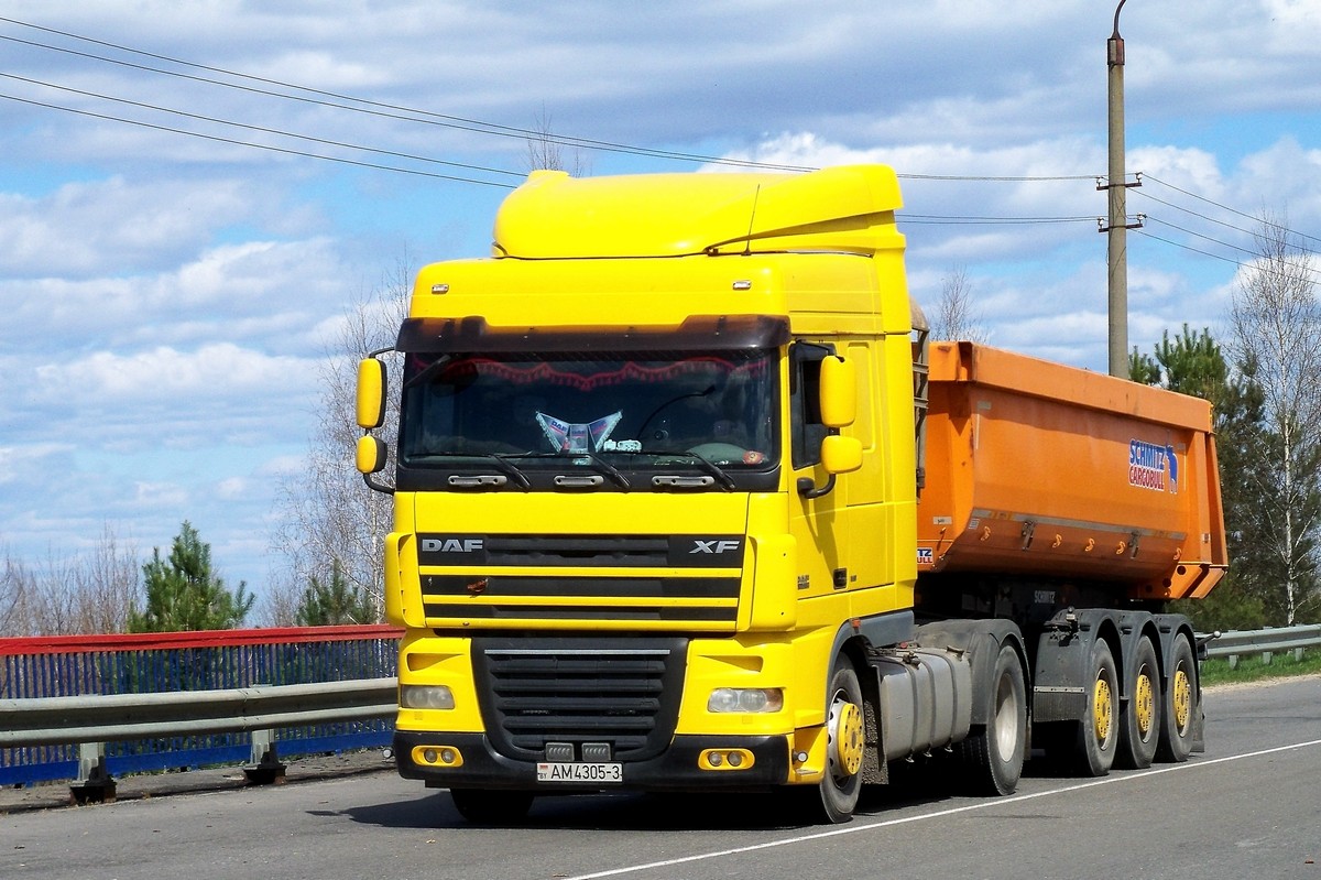 Гомельская область, № АМ 4305-3 — DAF XF105 FT