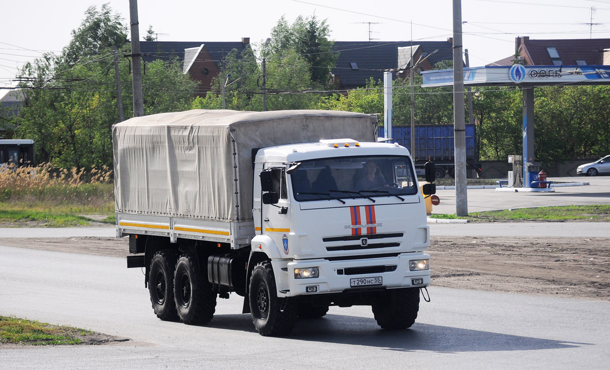 Омская область, № Т 290 НС 55 — КамАЗ-43118-46