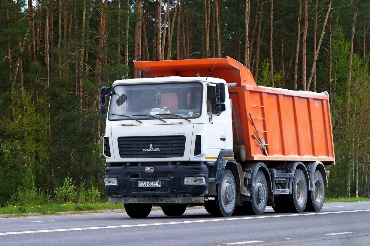 Могилёвская область, № АІ 6085-6 — МАЗ-6516 (общая модель)