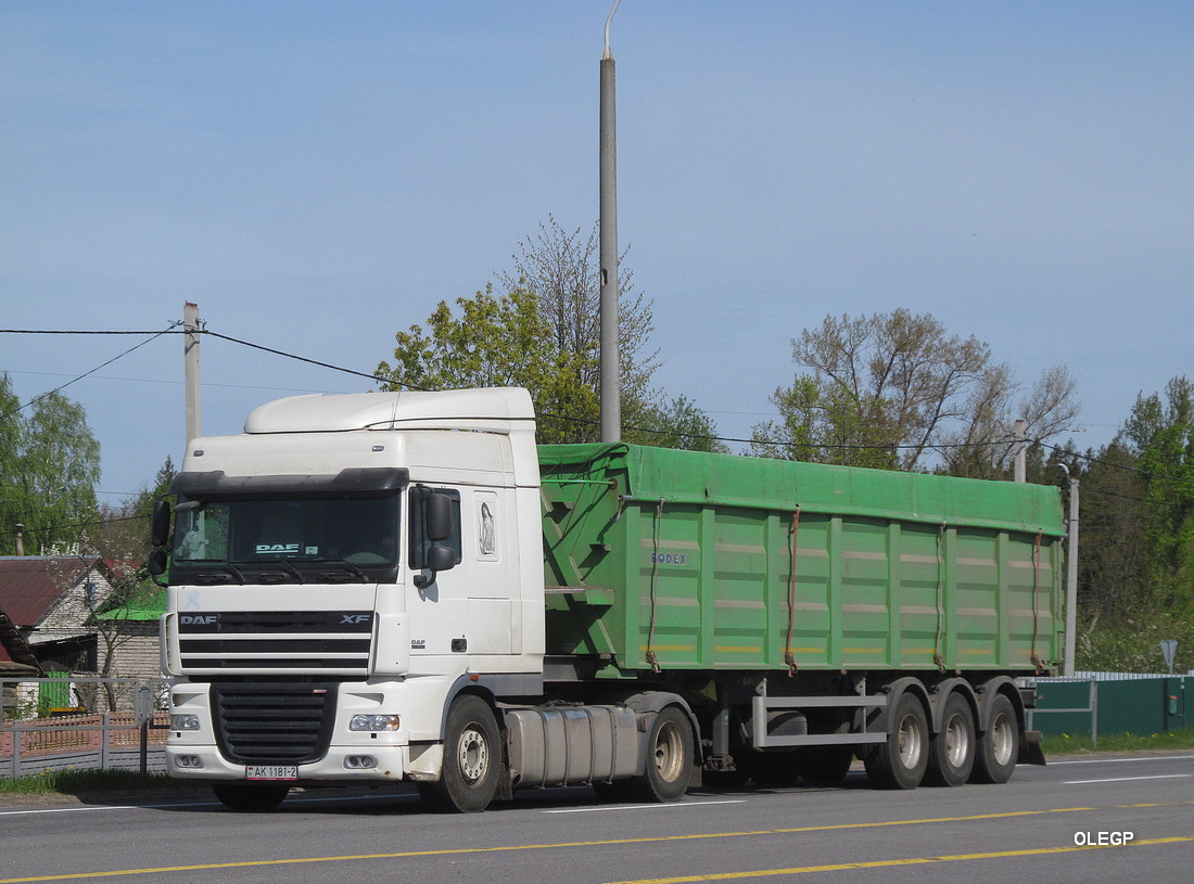 Витебская область, № АК 1181-2 — DAF XF105 FT