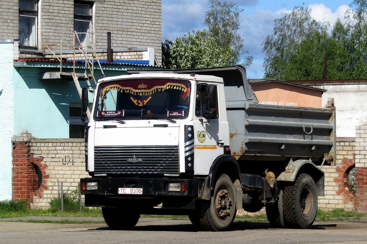 Могилёвская область, № ТЕ 9300 — МАЗ-5551 (общая модель)