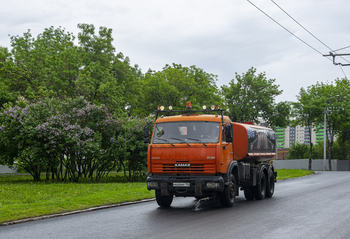 Башкортостан, № М 666 МР 102 — КамАЗ-65115-N3