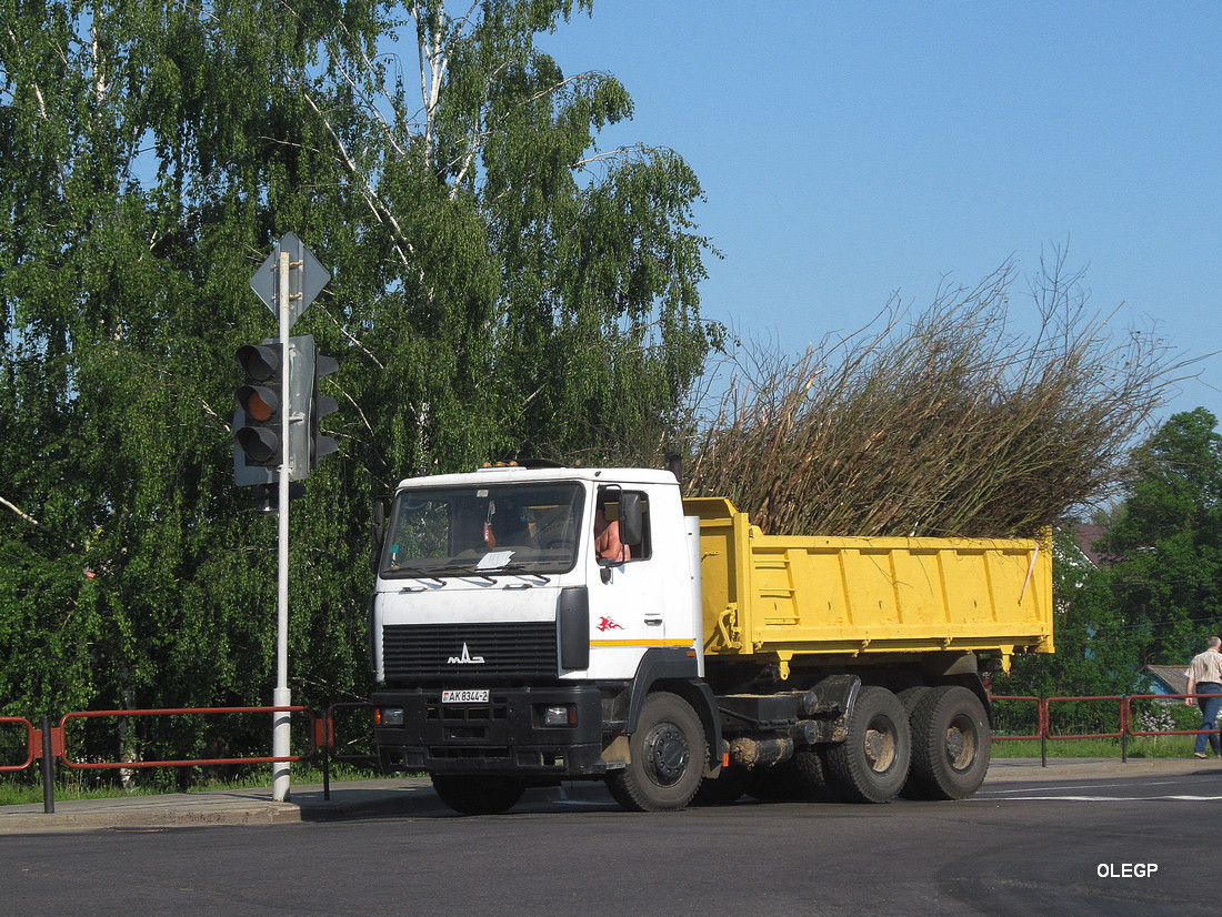 Витебская область, № АК 8344-2 — МАЗ-6501 (общая модель)