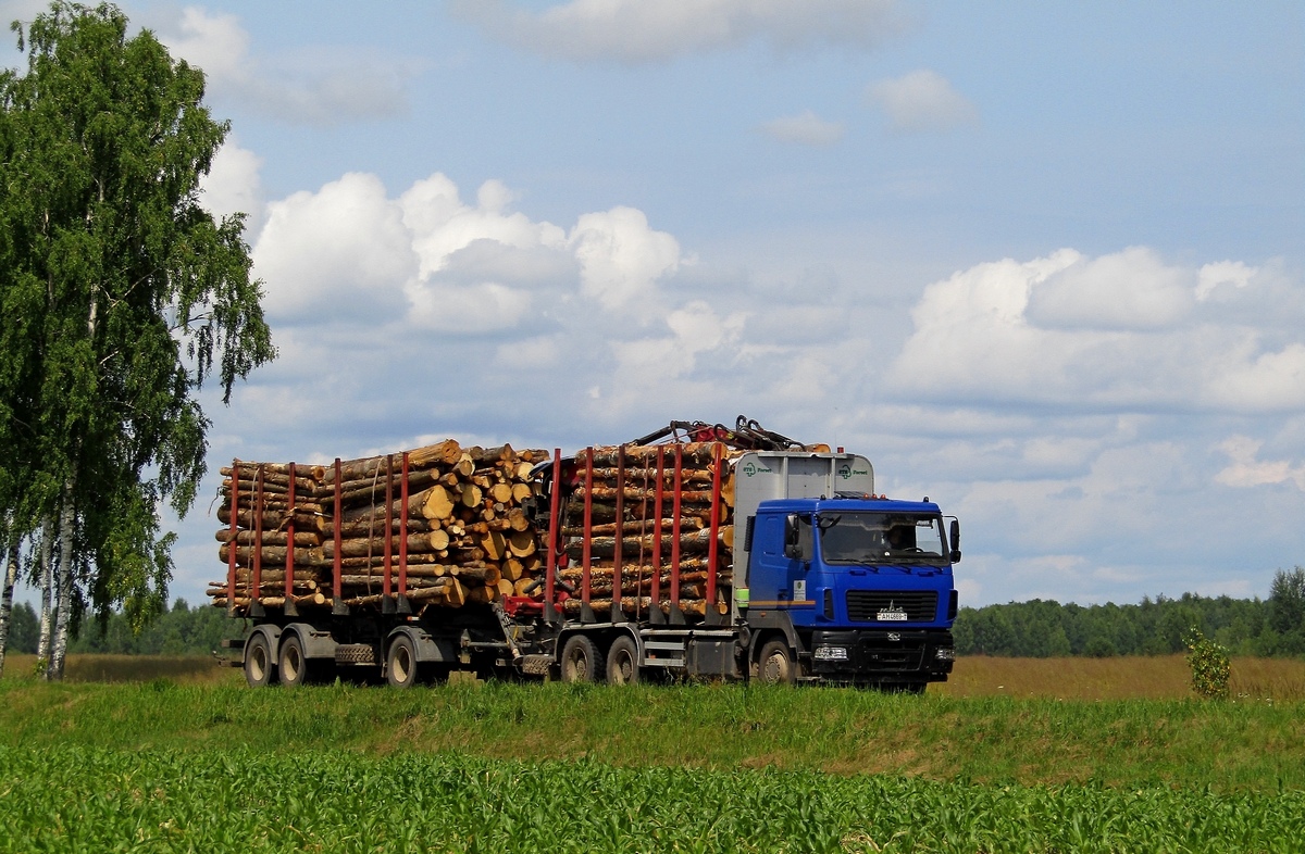 Брестская область, № АН 4669-1 — МАЗ-6312 (общая модель)