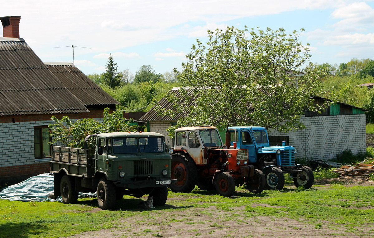 Воронежская область, № Х 650 ТК 36 — ГАЗ-66-11